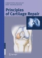 bokomslag Principles of Cartilage Repair