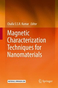 bokomslag Magnetic Characterization Techniques for Nanomaterials