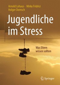 bokomslag Jugendliche im Stress