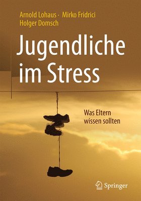 bokomslag Jugendliche im Stress