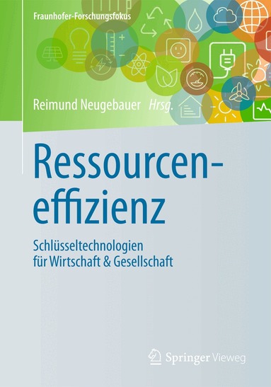 Reimund Neugebauer - Ressourceneffizienz, Inbunden