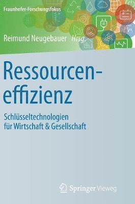 Reimund Neugebauer - Ressourceneffizienz, Inbunden