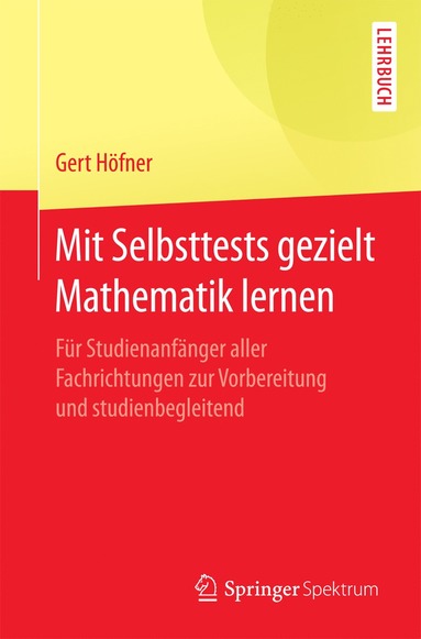 bokomslag Mit Selbsttests gezielt Mathematik lernen