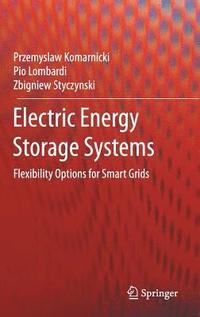 bokomslag Electric Energy Storage Systems
