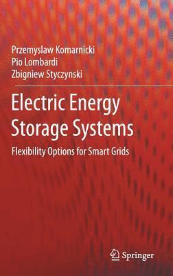 bokomslag Electric Energy Storage Systems