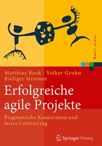bokomslag Erfolgreiche agile Projekte