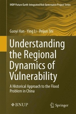 bokomslag Understanding the Regional Dynamics of Vulnerability