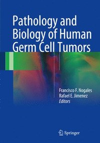 bokomslag Pathology and Biology of Human Germ Cell Tumors