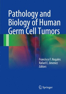 bokomslag Pathology and Biology of Human Germ Cell Tumors