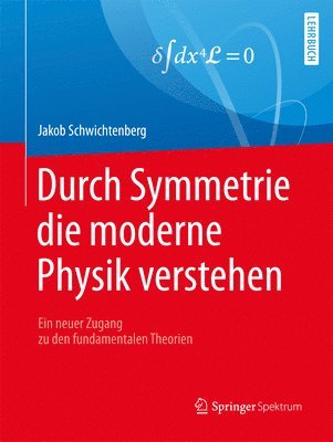 bokomslag Durch Symmetrie die moderne Physik verstehen