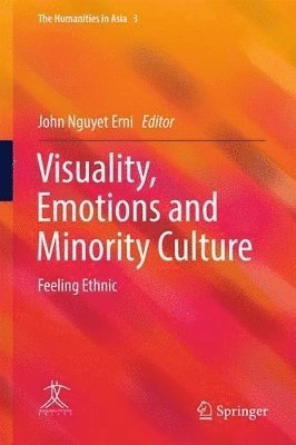 bokomslag Visuality, Emotions and Minority Culture