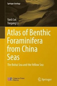 bokomslag Atlas of Benthic Foraminifera from China Seas