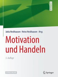 bokomslag Motivation und Handeln