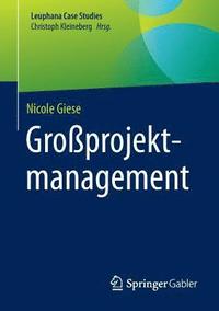 bokomslag Großprojektmanagement
