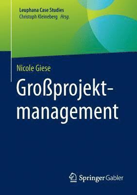 bokomslag Großprojektmanagement