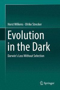 bokomslag Evolution in the Dark