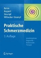 bokomslag Praktische Schmerzmedizin: Interdisziplinäre Diagnostik - Multimodale Therapie