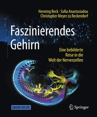 Faszinierendes Gehirn 1