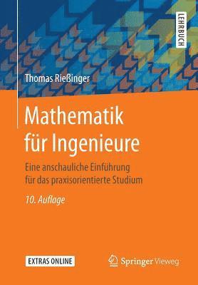 Thomas Rießinger - Mathematik für Ingenieure, Häftad