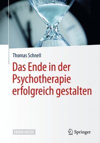 bokomslag Das Ende in der Psychotherapie erfolgreich gestalten