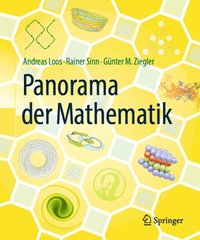 bokomslag Panorama der Mathematik