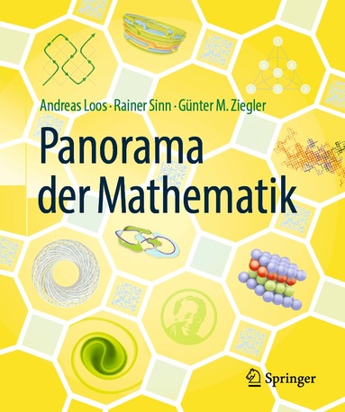 Andreas Loos, Rainer Sinn, Günter M. Ziegler - Panorama der Mathematik, Häftad