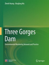 bokomslag Three Gorges Dam