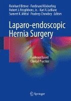 bokomslag Laparo-endoscopic Hernia Surgery