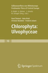 bokomslag Freshwater Flora of Central Europe, Vol 13: Chlorophyta: Ulvophyceae (Swasserflora von Mitteleuropa,  Bd. 13: Chlorophyta: Ulvophyceae)