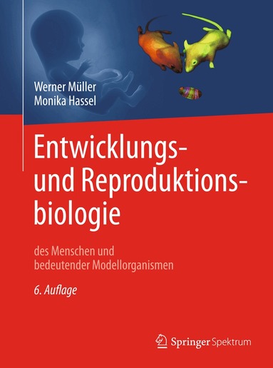 Werner A. Müller, Monika Hassel - Entwicklungsbiologie und Reproduktionsbiologie des Menschen und bedeutender Modellorganismen, Häftad