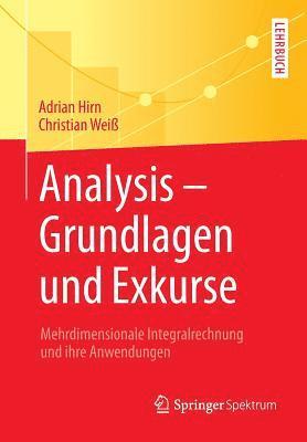 bokomslag Analysis - Grundlagen Und Exkurse