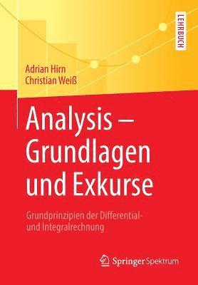 bokomslag Analysis  Grundlagen und Exkurse