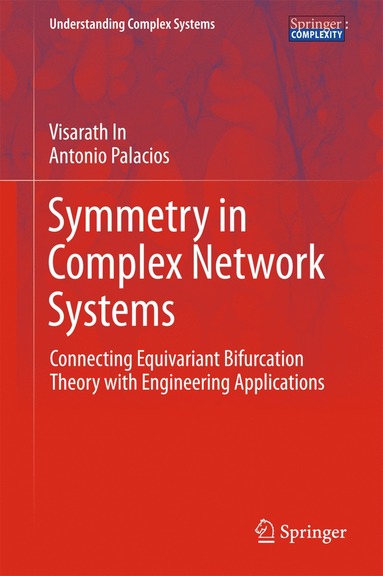 bokomslag Symmetry in Complex Network Systems