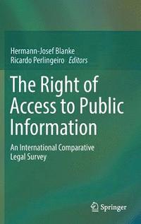 bokomslag The Right of Access to Public Information