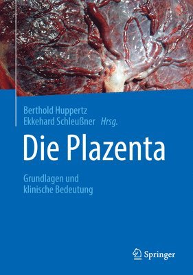 Die Plazenta 1