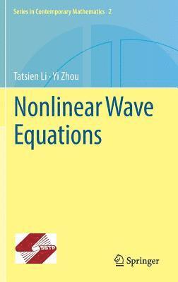 bokomslag Nonlinear Wave Equations