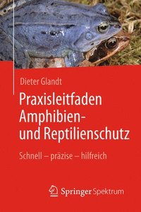 bokomslag Praxisleitfaden Amphibien- und Reptilienschutz