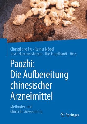 bokomslag Paozhi: Die Aufbereitung chinesischer Arzneimittel