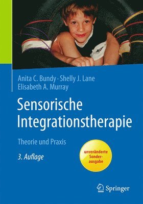 bokomslag Sensorische Integrationstherapie