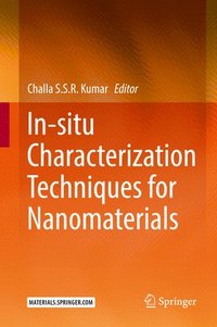 bokomslag In-situ Characterization Techniques for Nanomaterials