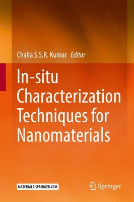 Challa S.S.R. Kumar, Challa S. S. R. Kumar - In-situ Characterization Techniques for Nanomaterials, Inbunden