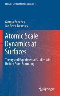 bokomslag Atomic Scale Dynamics at Surfaces