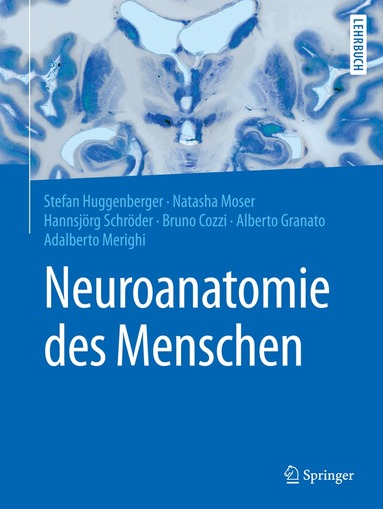 Stefan Huggenberger, Natasha Moser, Hannsjörg Schröder, Bruno Cozzi, Alberto Granato, Adalberto Merighi - Neuroanatomie des Menschen, Häftad