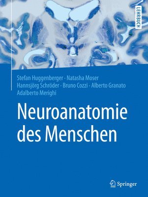 Neuroanatomie des Menschen 1