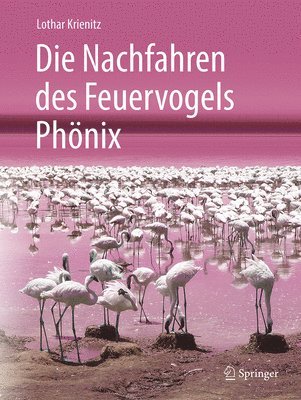 bokomslag Die Nachfahren des Feuervogels Phnix