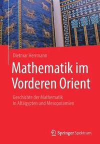 bokomslag Mathematik im Vorderen Orient