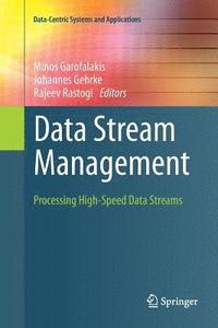 bokomslag Data Stream Management