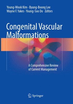 bokomslag Congenital Vascular Malformations