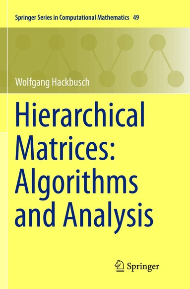 Wolfgang Hackbusch - Hierarchical Matrices: Algorithms and Analysis, Häftad