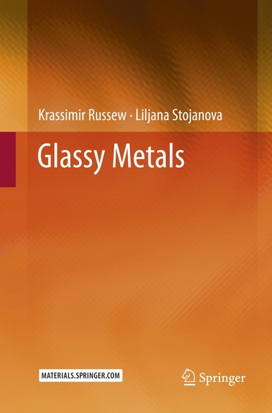 bokomslag Glassy Metals